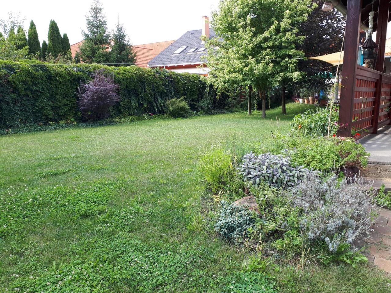 Kertvarosi Apartman Tiszaújváros Exterior foto